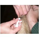 pucage2.html